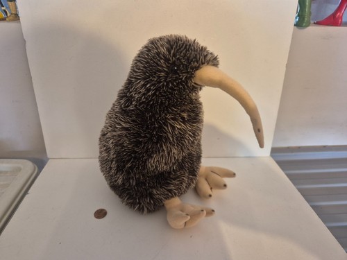Great spotted kiwi - kiwi, zealand
