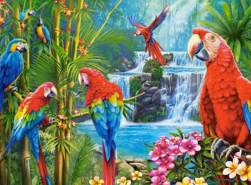 Castorland 2000pc jigsaw - castorland,