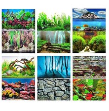 Aquarium Fish Tank Background