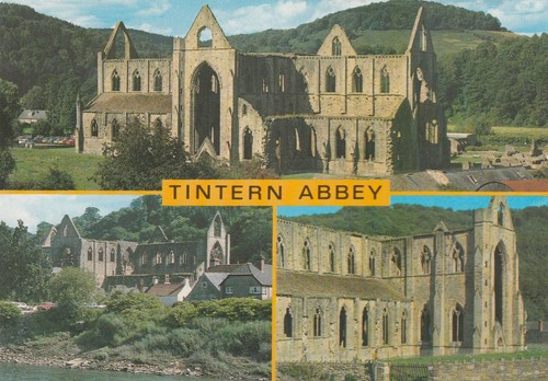 Salmon tintern abbey - salmon,