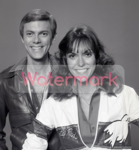Karen the carpenters portrait - carpenters,