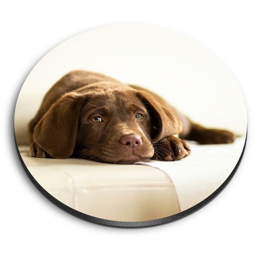 Round mdf magnets brown - mdf,