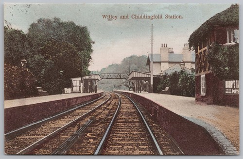 Witley and chiddingfold - witley,