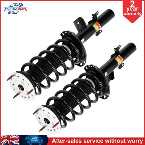 Pair front shock strut - pair,