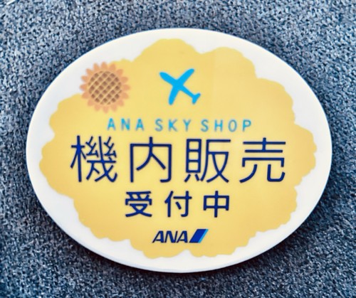 Ana japanese airlines crew sky - airlines,