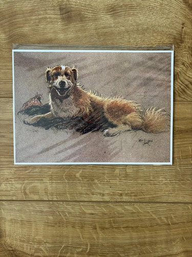 Cecil aldin collie dog print - cecil,
