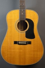Washburn D-13/N Acoustic