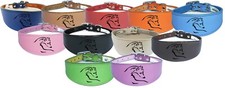 Dog Collar Italian Greyhound