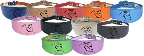Dog collar italian - collar, greyhound