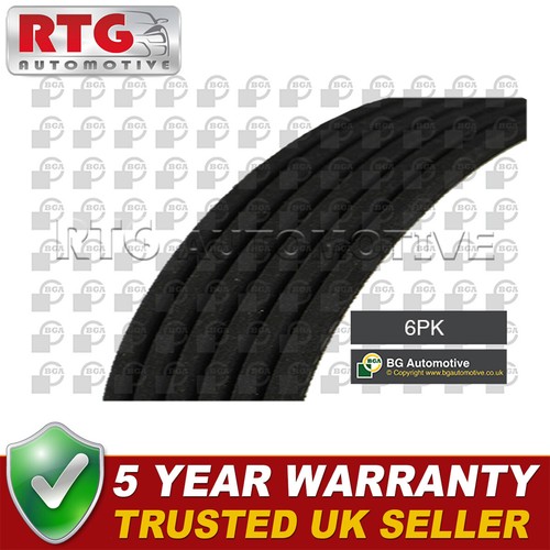 Ribbed drive belt - belt, fits