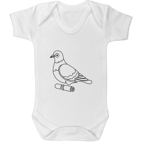 Carrier pigeon baby grows - baby,
