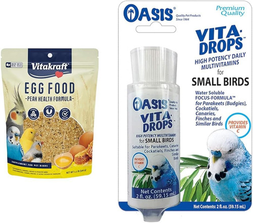Bird egg food - bird, and
