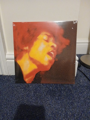 The jimi hendrix - the,