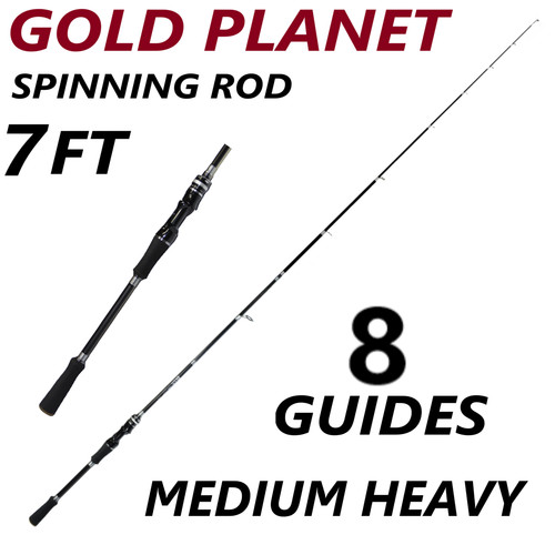 Fishing spinning rod - fishing, carbon