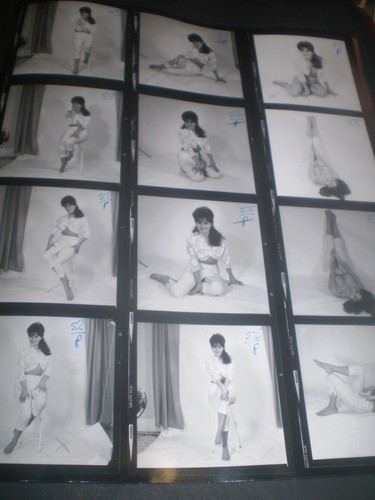 1960 original sophia dawn - ,