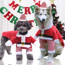 Pet Christmas Outfit Cat Dog