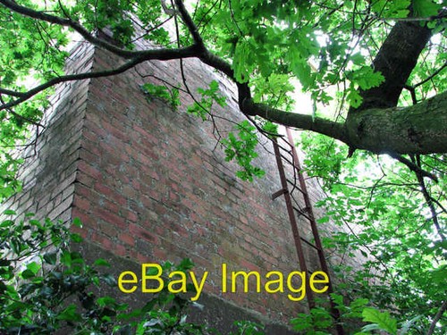 Photo 6x4 steps the old - photo,