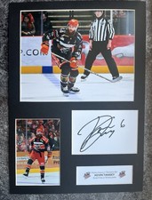 Kevin Tansey Signed A3 Sheffield Steelers Ice Hockey Display Mount