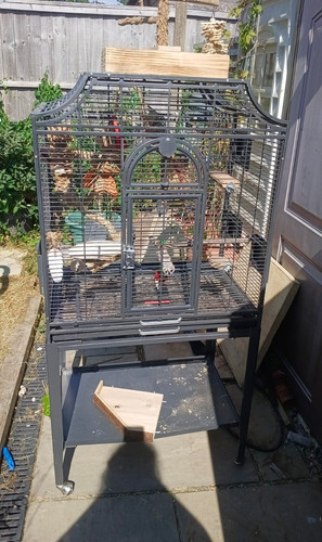 Large metal bird cage - metal,