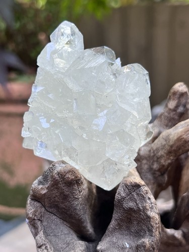 Apophyllite cluster mineral - apophyllite,