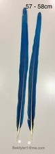 Parrot Macaw Feather Crafts