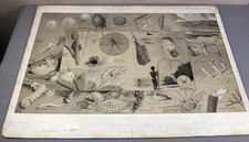 NEAVE PARKER c1961 - original