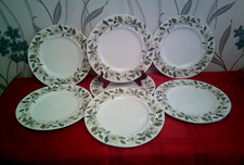 Wedgwood - Beaconsfield -7 x 10.75" Dinner Plates