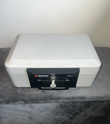 Sentry fire safe - fire,