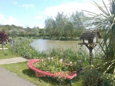 PHOTO  SHORT HEATH ALL IN THE