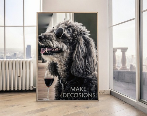 Trendy chocolate poodle - trendy,