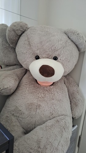 Giant human size teddy - giant, bear
