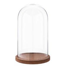 28cm Glass Display Bell Jar