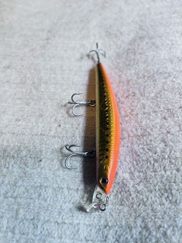 Daiwa shore line - shore, shiner