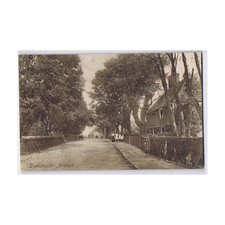 DYMCHURCH The Avenue, Postcard by Frith Unused