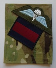 British Army Guards Parachute
