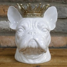 White Glossy French Bulldog