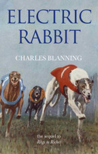 Electric rabbit charles - electric, by
