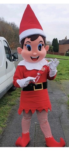 Elf mascot costume fancy dress - elf,
