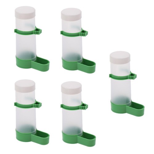 Bird feeder parrot drinking - 5x,