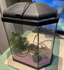 Fish Tank Set-Up Complete Set, Environment, Filter & Light included