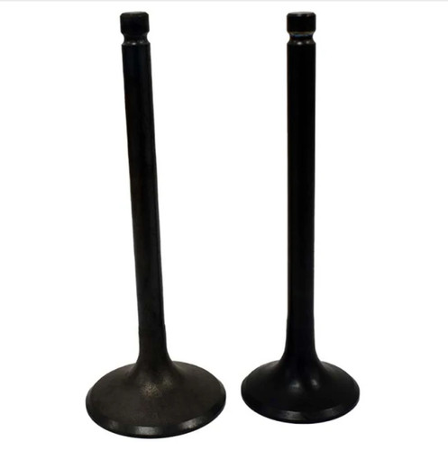 Engine valve pair yamaha - engine,