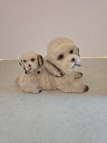 Vintage white cream poodle - cream,