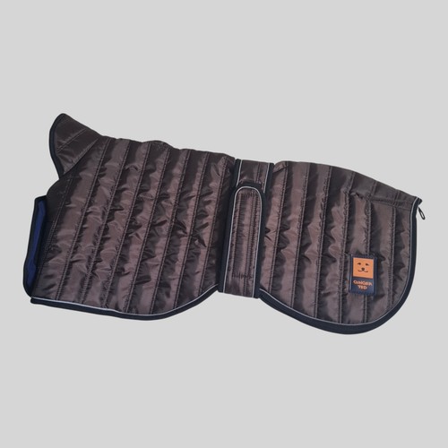 Ginger ted thermal greyhound - ginger,