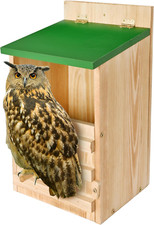 Owl House Owl Box with Bird
