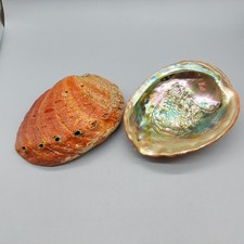 Pair Large Red Abalone Shells, Mother of Pearl, 20cm 1.1kg