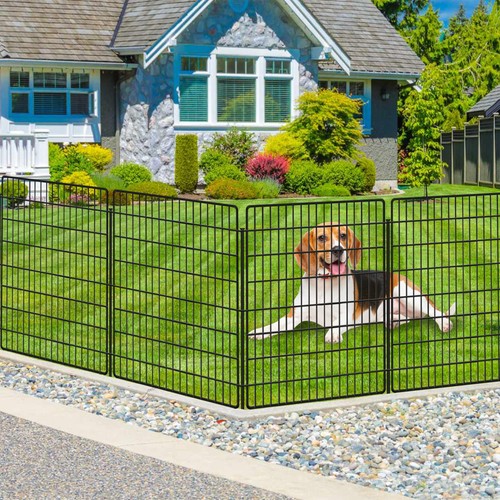 Panels dog fence outdoor - dog,