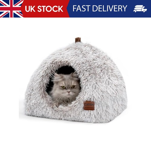 Igloo cat and dog - cat,