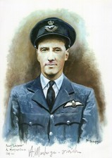Ww2 raf 264 squadron battle - no,