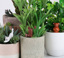 GR Plant Pot Yoga Cats Mini