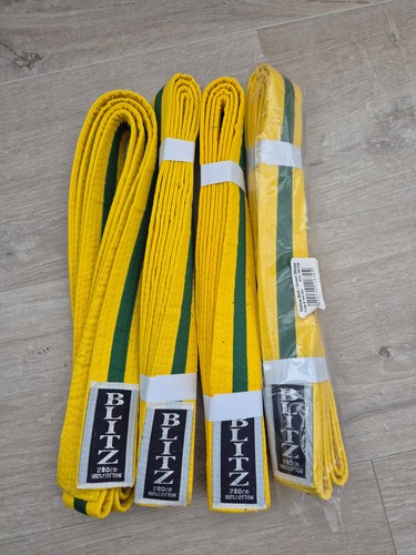 Martial arts striped belts - martial,